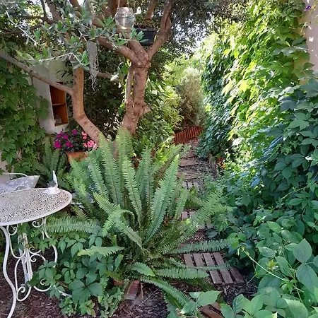Soneanima Bed & Breakfast